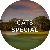 CATS Special
